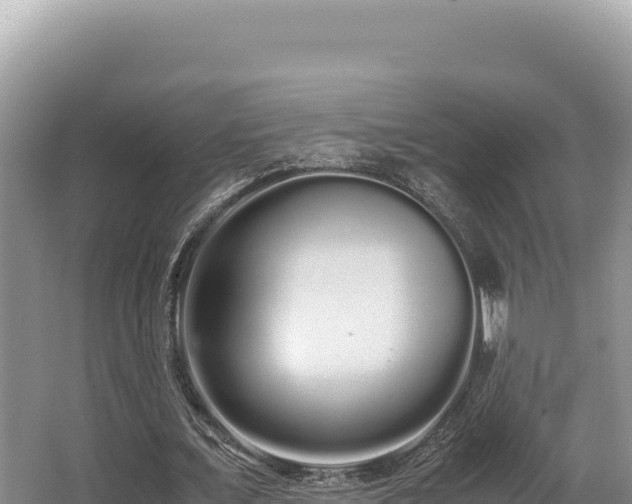 X0000062850675200601171512