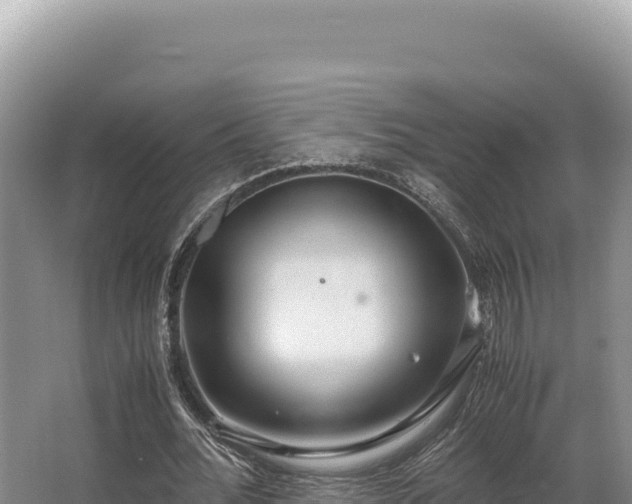 X0000062850676200601171512