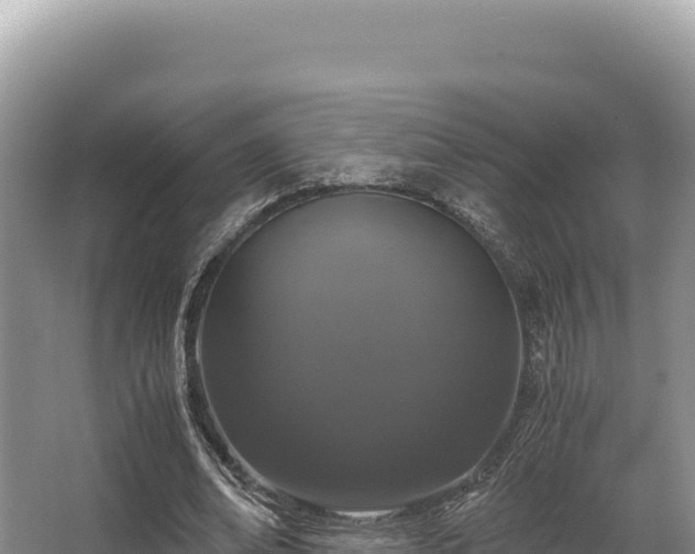 X0000062850678200601171512