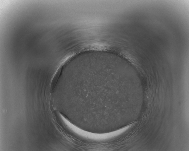 X0000062850679200601171512