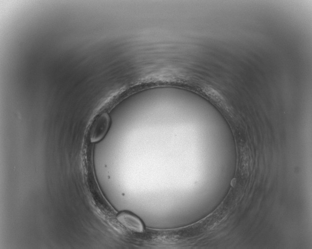 X0000062850680200601171512