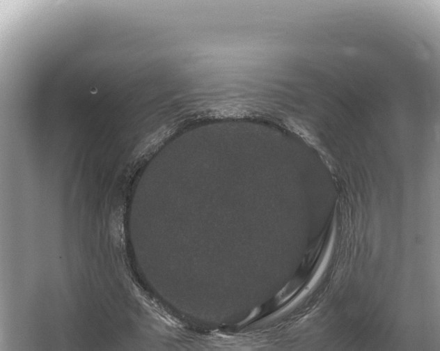 X0000062850681200601171512