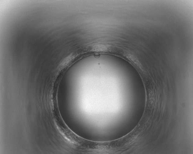 X0000062850682200601171512