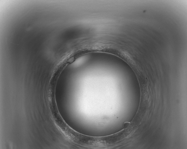 X0000062850683200601171512