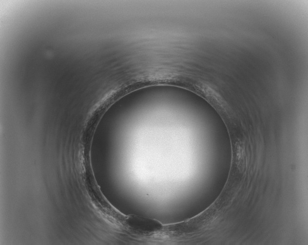 X0000062850684200601171512