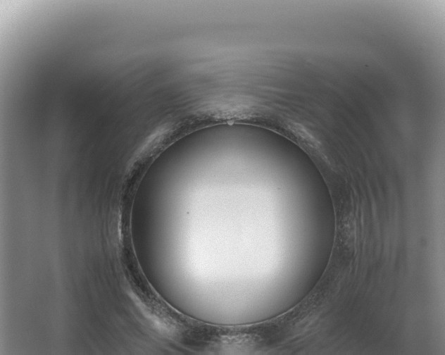 X0000062850686200601171512