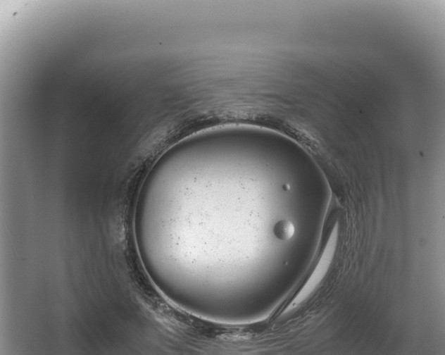 X0000062850687200601171512