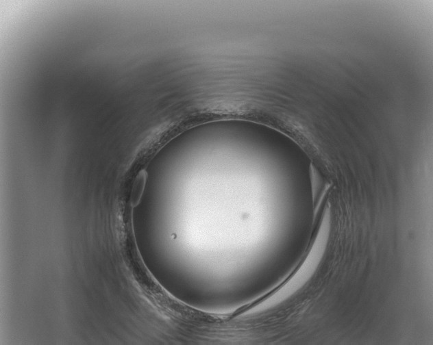 X0000062850688200601171512