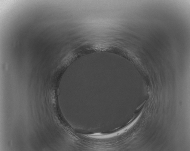 X0000062850689200601171511