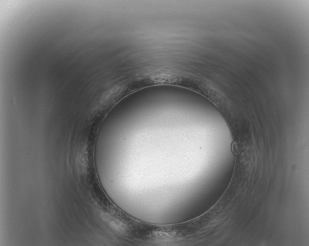 X0000062850690200601171511