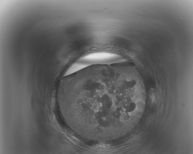 X0000062850691200601171511