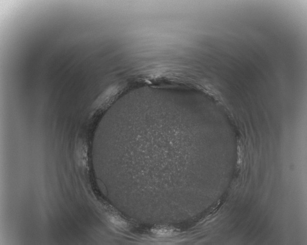 X0000062850693200601171511