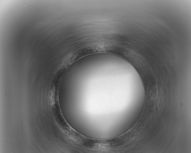 X0000062850694200601171511