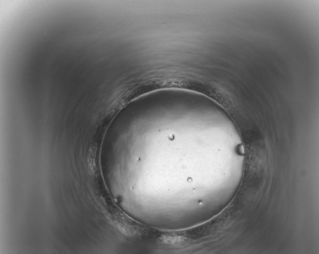 X0000062850695200601171511