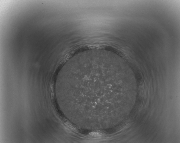 X0000062850699200601171511