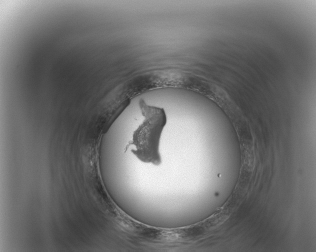 X0000062850701200601171511