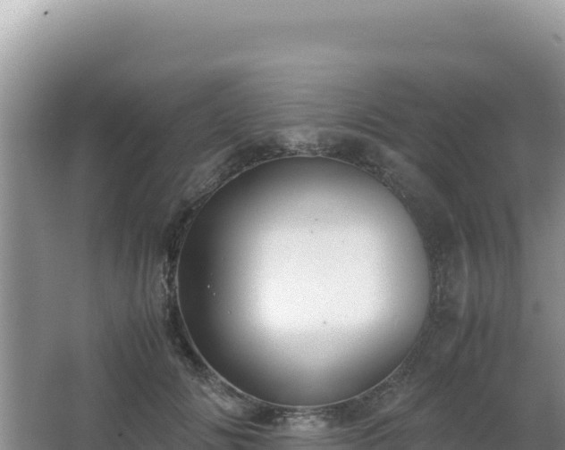 X0000062850702200601171511