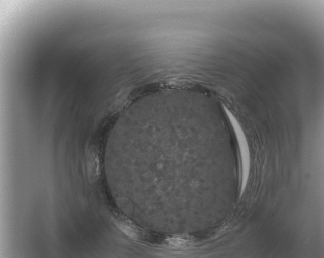 X0000062850703200601171511