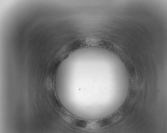 X0000062850705200601171511