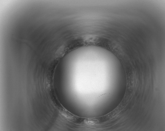 X0000062850706200601171511