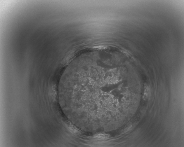 X0000062850707200601171511