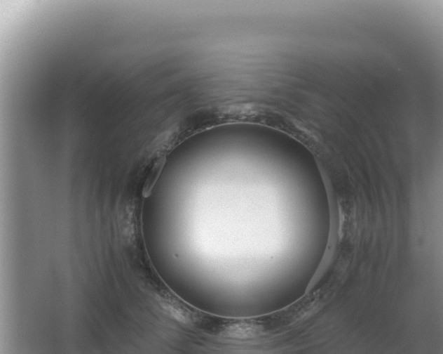 X0000062850708200601171511