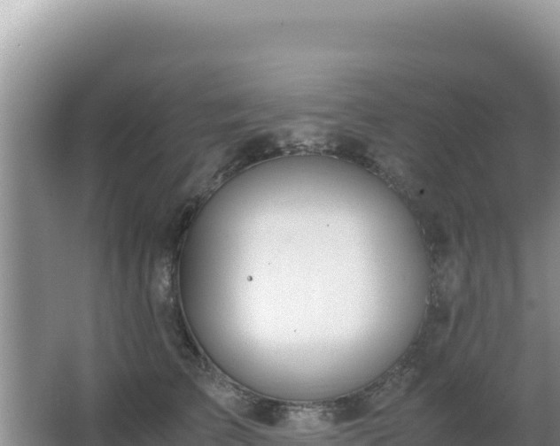 X0000062850709200601171511