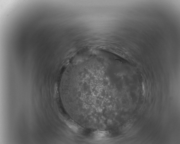 X0000062850711200601171511