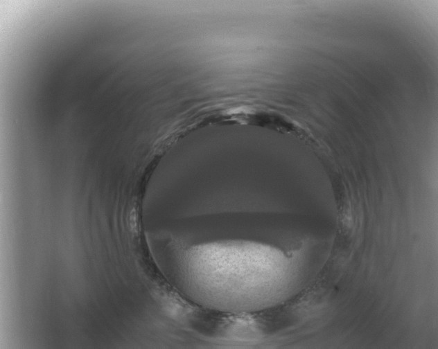 X0000062850715200601171511