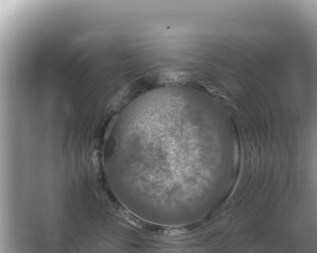 X0000062850716200601171511