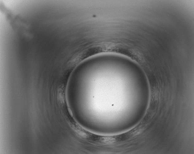 X0000062850719200601171511