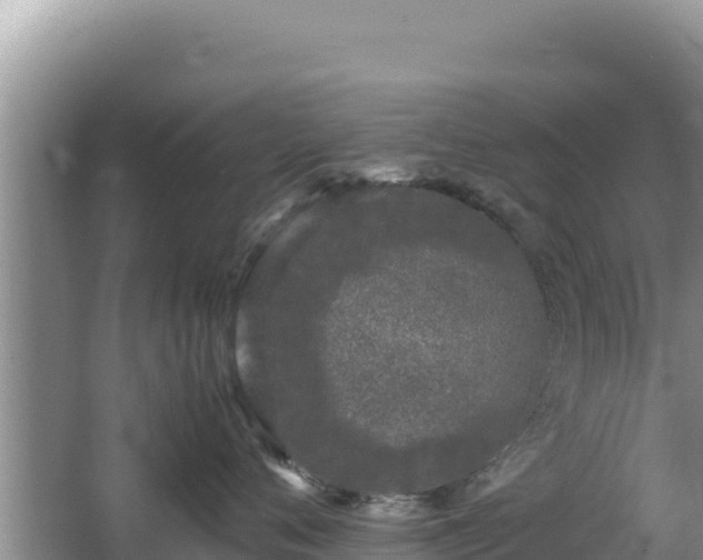 X0000062850720200601171511