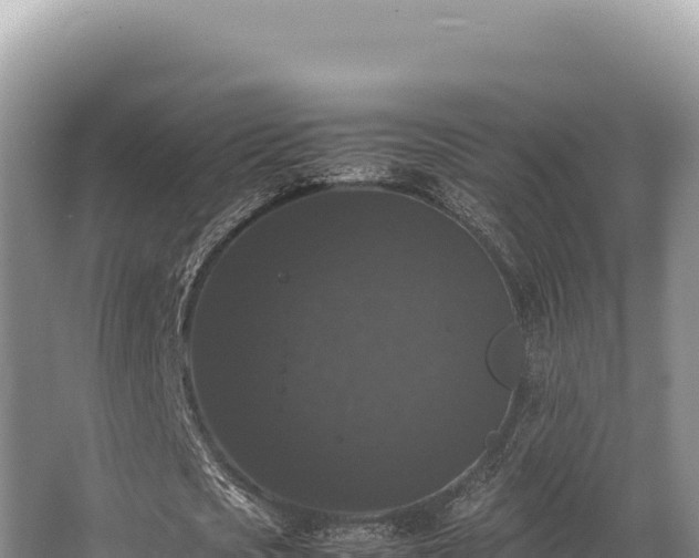 X0000062850721200601171510