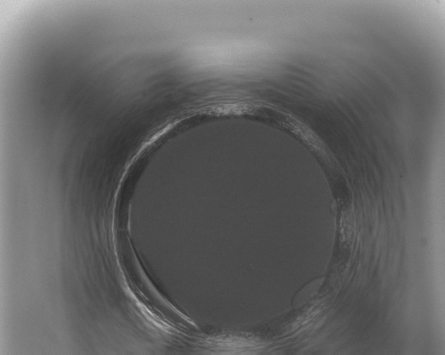 X0000062850722200601171510