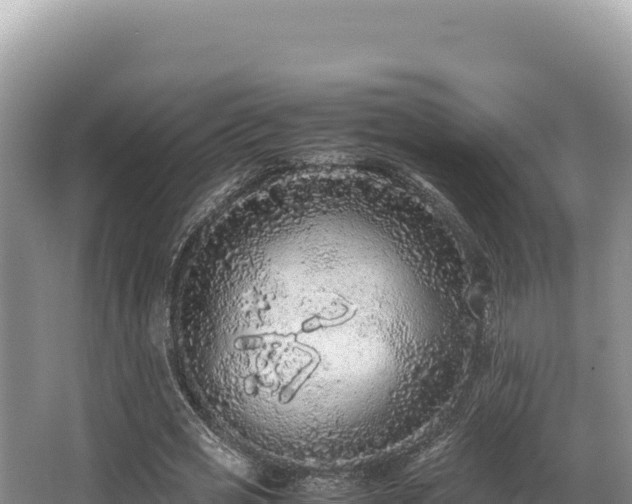 X0000062850725200601171510