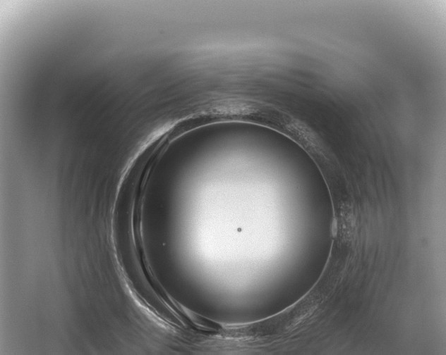 X0000062850726200601171510