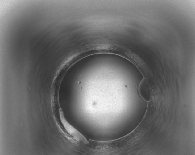 X0000062850728200601171510