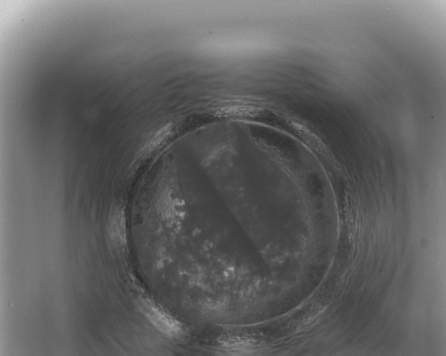 X0000062850729200601171510