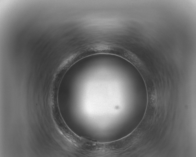 X0000062850732200601171510