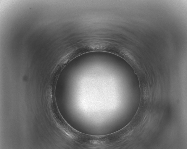 X0000062850733200601171510