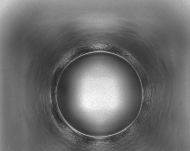 X0000062850734200601171510