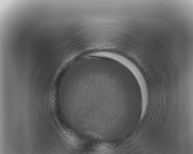 X0000062850736200601171510