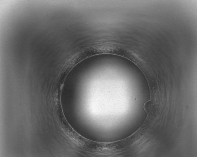 X0000062850737200601171510