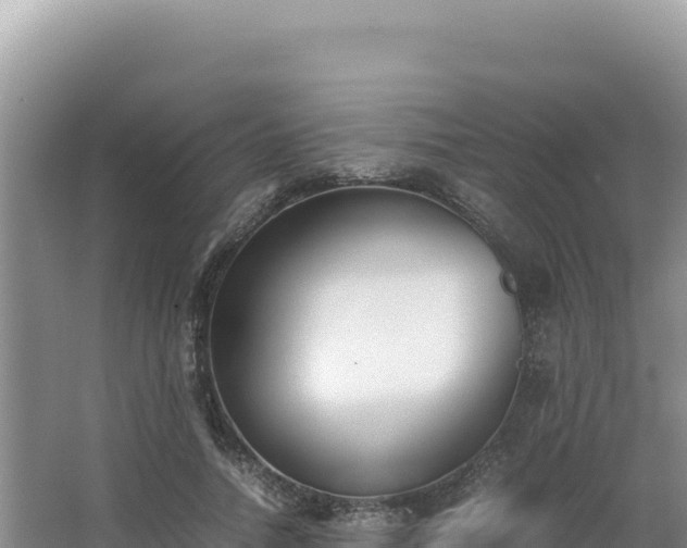 X0000062850738200601171510