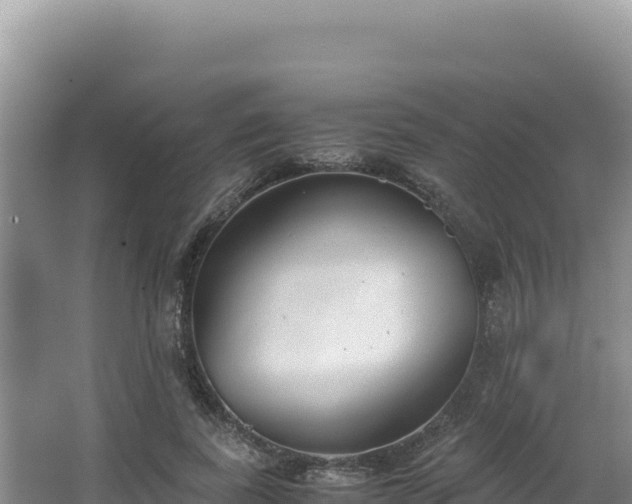 X0000062850739200601171510