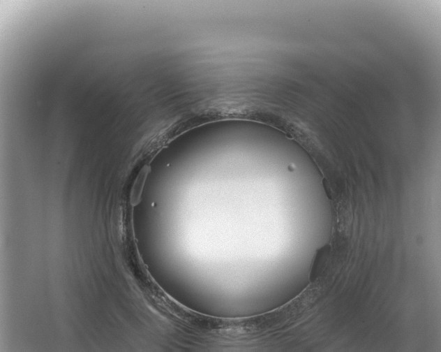 X0000062850740200601171510