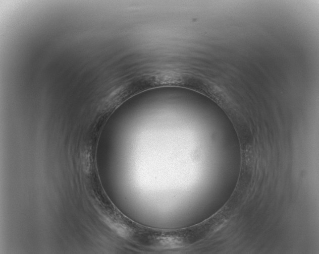 X0000062850741200601171511