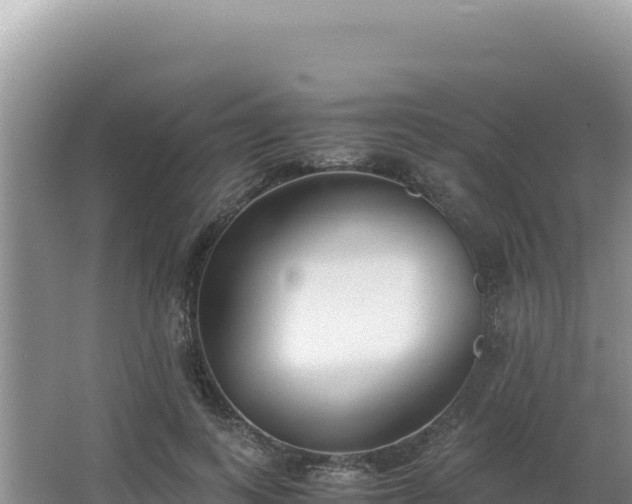 X0000062850743200601171511