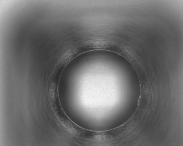 X0000062850744200601171511