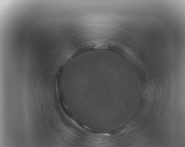 X0000062850748200601171511